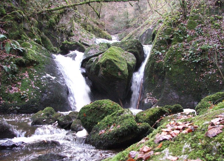 Le Bois des Côtes