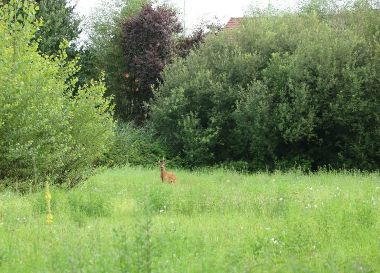 Parc des Élopées