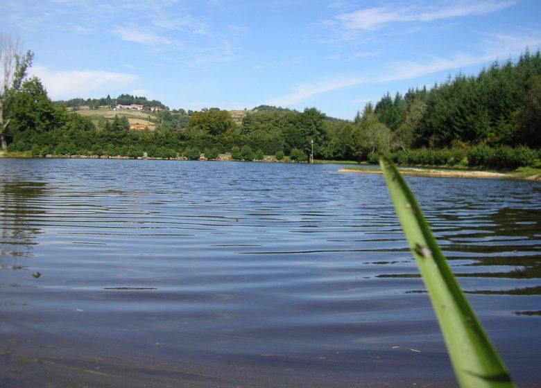 La cabane du maquis