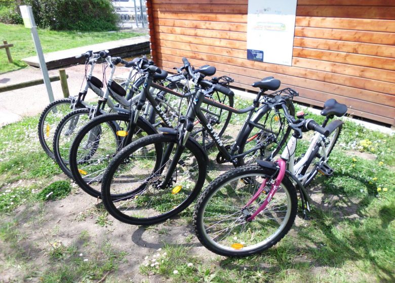 Bike rental