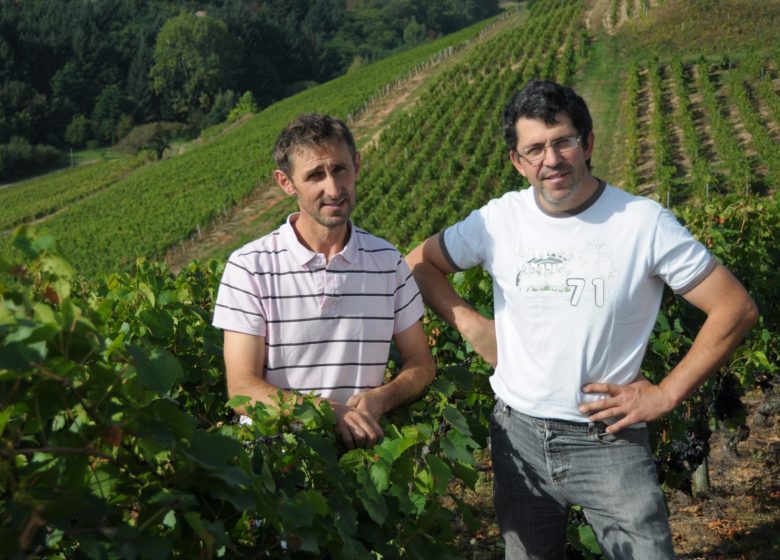 Domaine Vial - Philippe and Jean Marie Vial