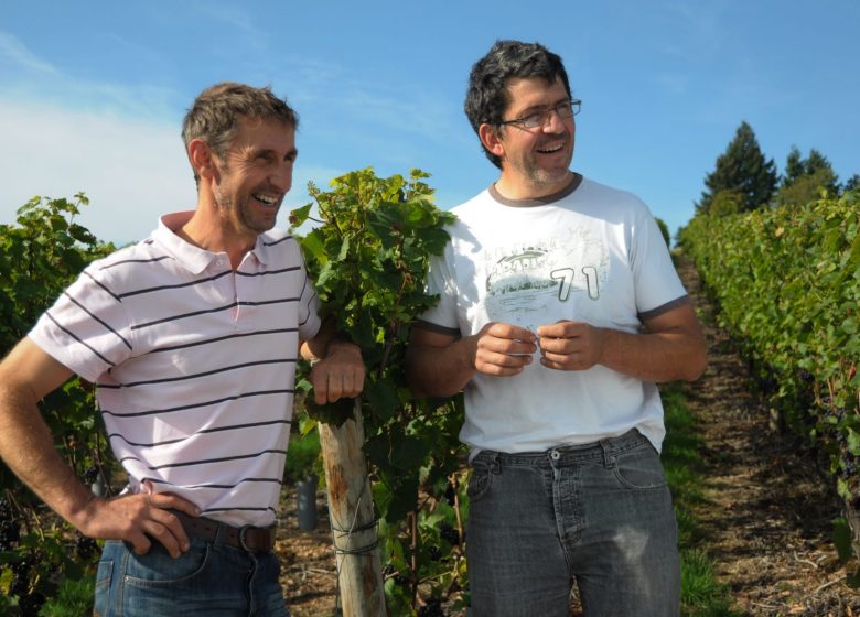 Domaine Vial - Philippe and Jean Marie Vial