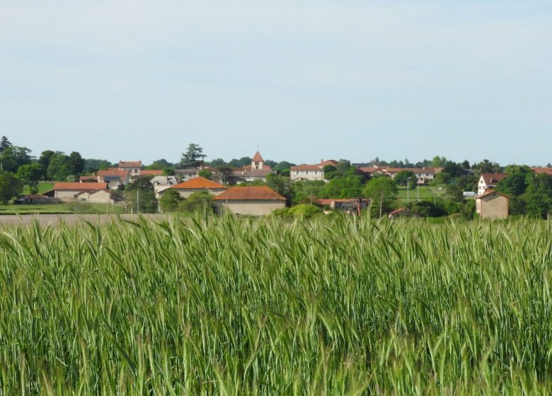 Village de Saint-Forgeux-Lespinasse