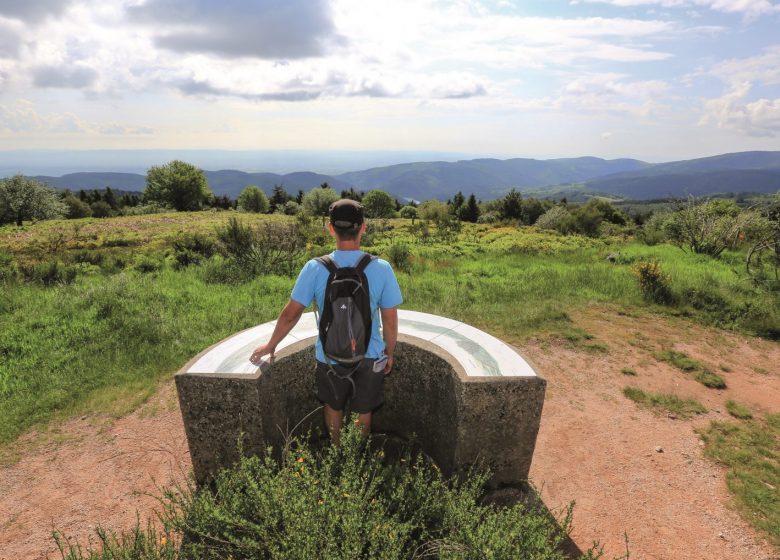 The peat bogs of the Plateau de la Verrerie