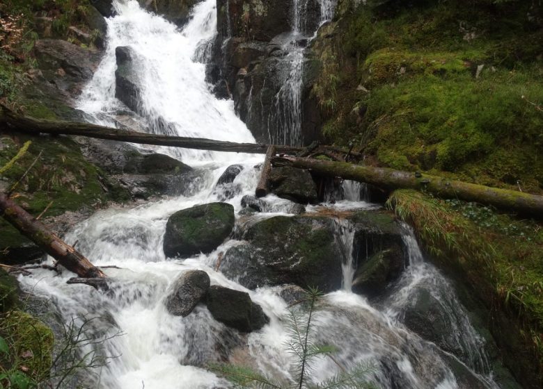 Wasserfall beenden