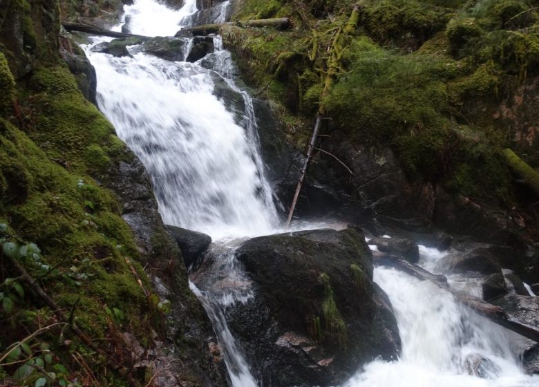 Wasserfall beenden