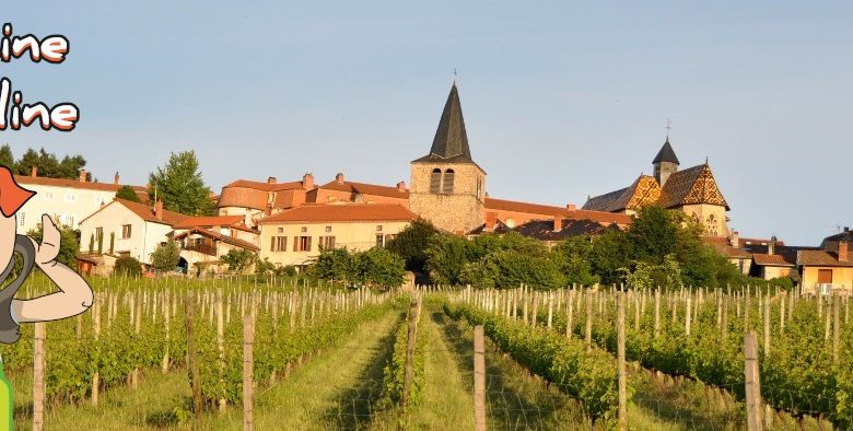 Baludik – De verdwijning van de cuvée d'Ambierle