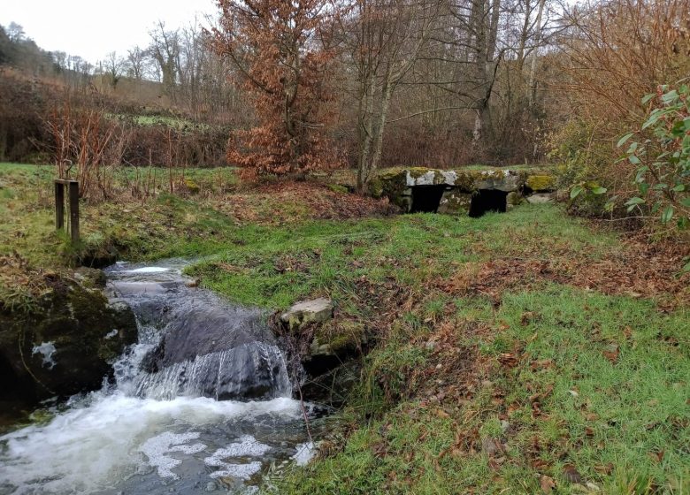 The plank washhouse