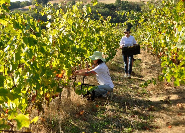 Domaine de la Bénisson-Dieu – Régis en Aude Anouil