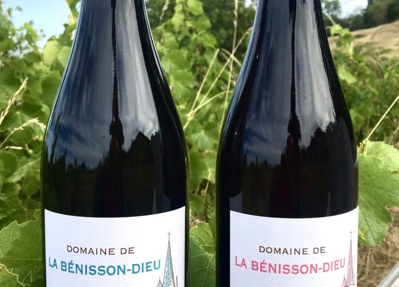 Domaine de la Bénisson-Dieu – Régis en Aude Anouil