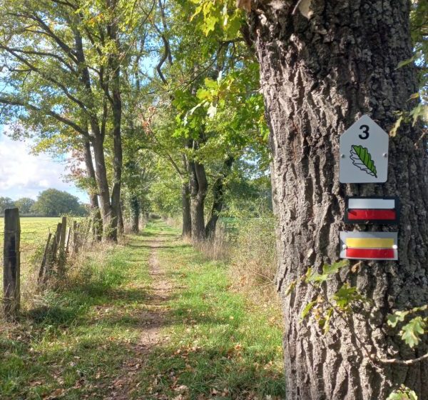 Educatief parcours “ontdek het bos van Bas”