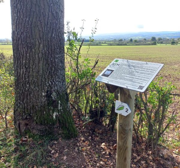 Lehrpfad „Entdecken Sie den Wald von Bas“