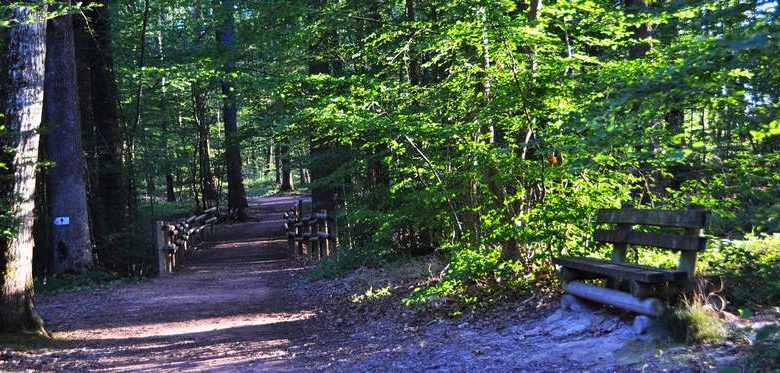 Wald von Lespinasse