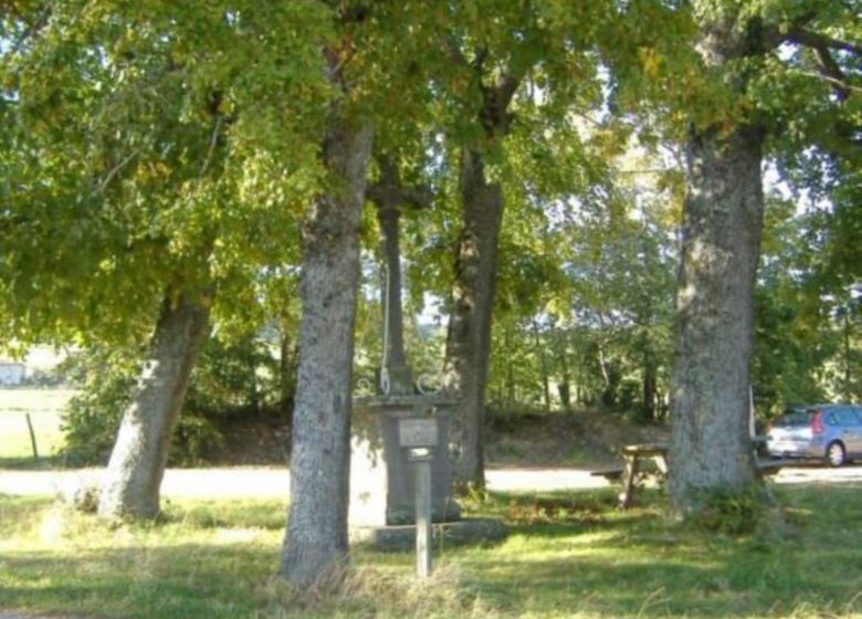 4 lindebomen picknickplaats