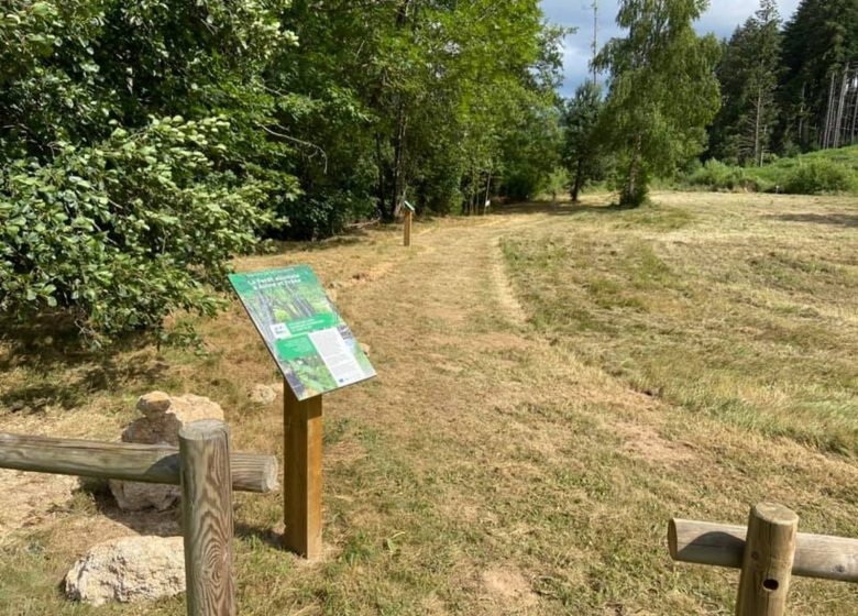 Picknickplaats van het Bourg-washuis