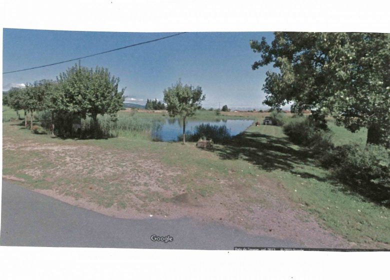 Picnic area of ​​the Communal Pond