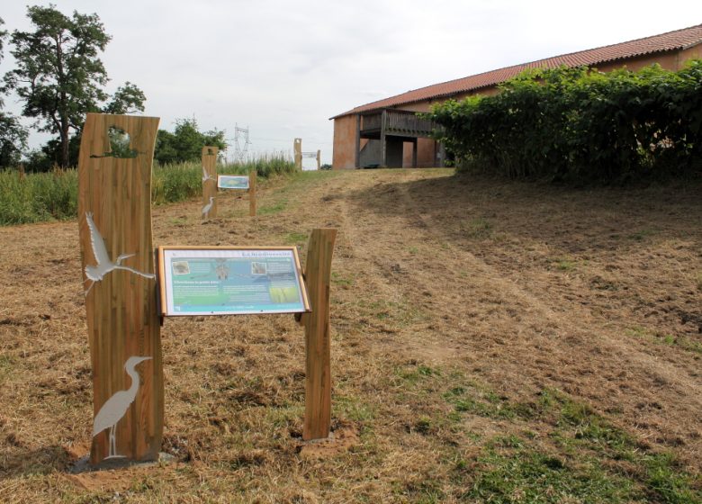 De grindkuil met vogels