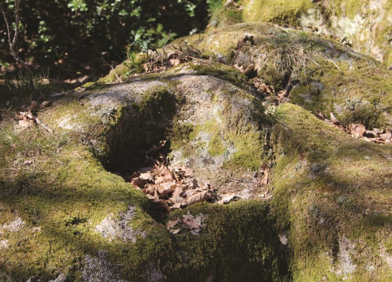 Saint Martin Stones