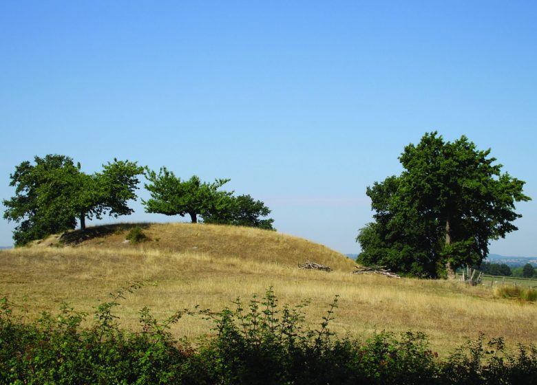 Feudal mound