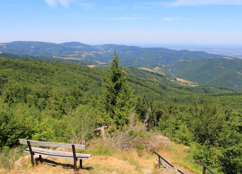 Arboretum and forest of the Grands Murcins