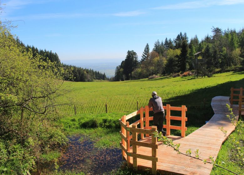 Arboretum and forest of the Grands Murcins