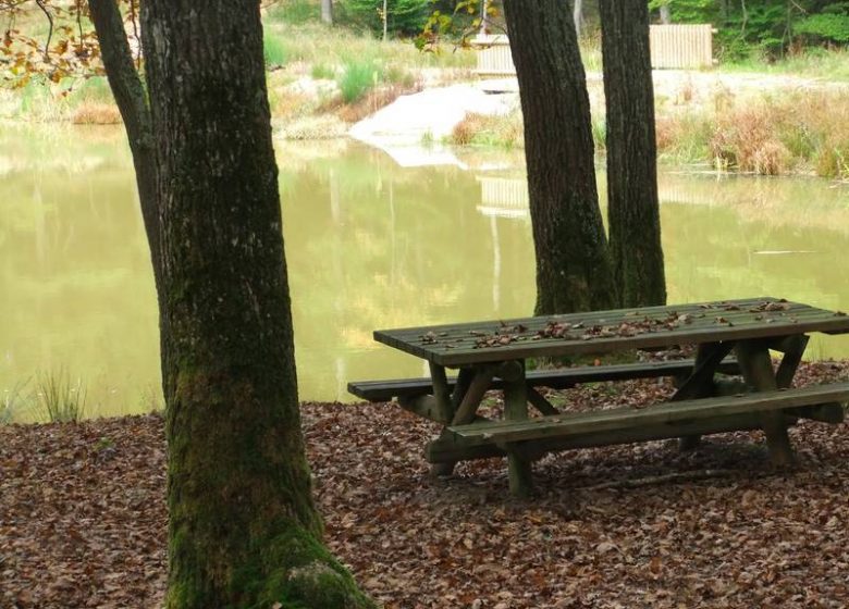 Picknickplaatsen in het bos van Lespinasse