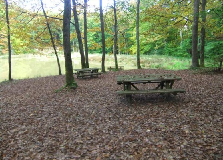 Picknickplätze im Wald von Lespinasse