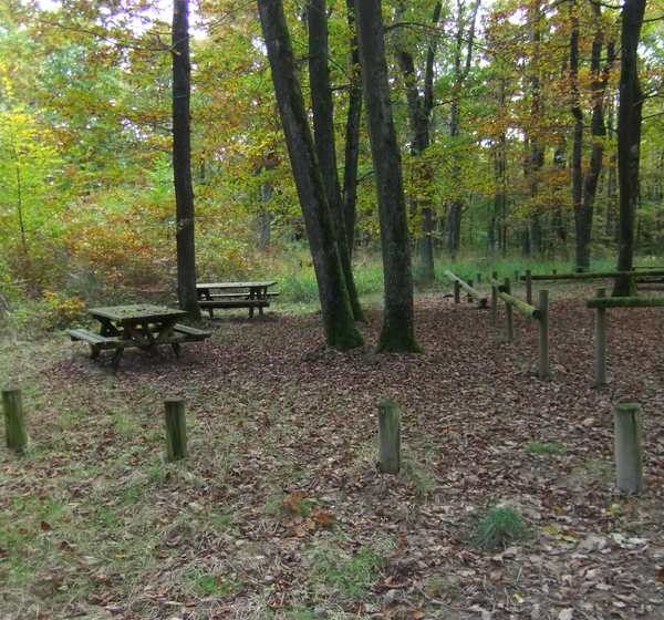 Picknickplaatsen in het bos van Lespinasse