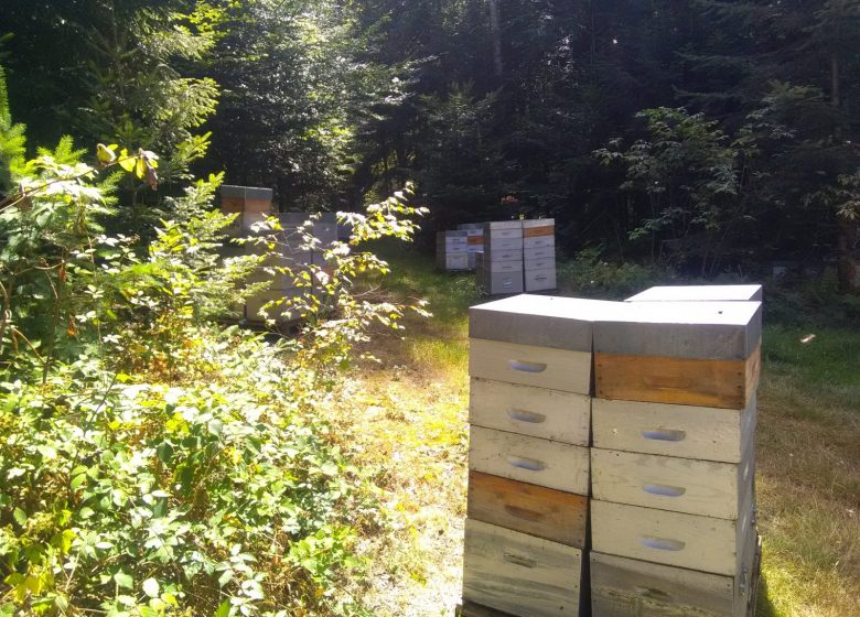 Honey farm of the Monts de la Madeleine GAEC Rossignol Father & son
