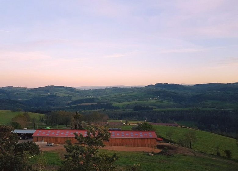 La Ferme aux Limousines d’Urfé