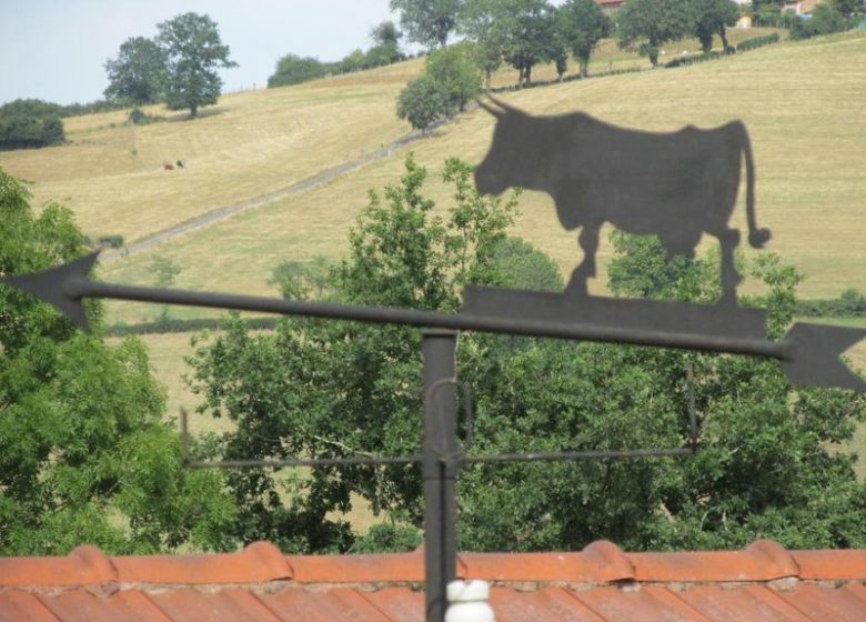 Die Kuh auf dem Dach
