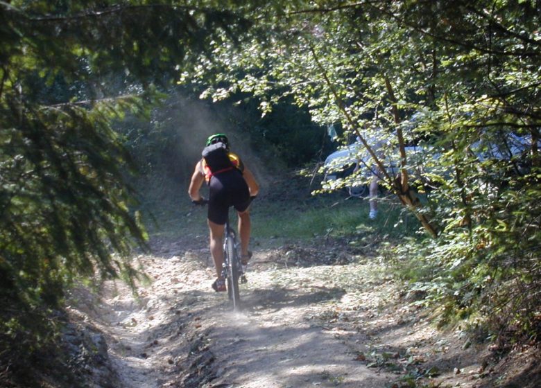 MTB-FFC-gebied van het Massif des Bois Noirs