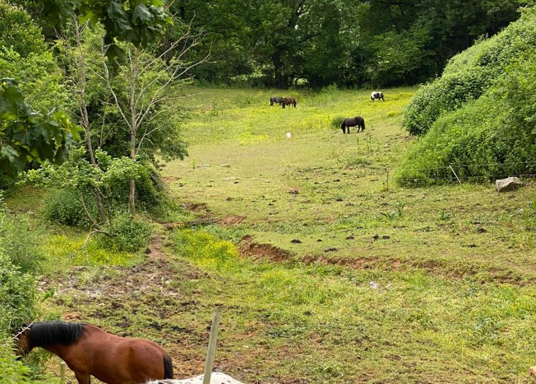 Equestrian center "Les Ecuries de Fay"