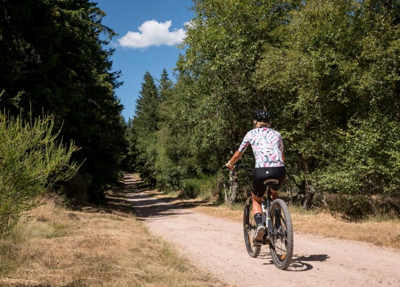 Mountainbike-Schaltung Die Dämme