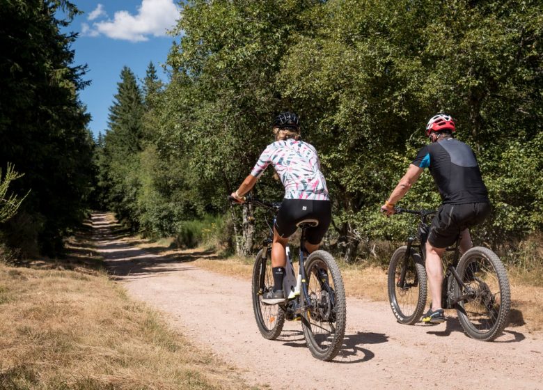 Mountainbike-Rennstrecke La Bernarde