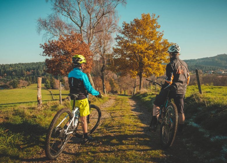 Mountain biking circuit The forest of Lespinasse