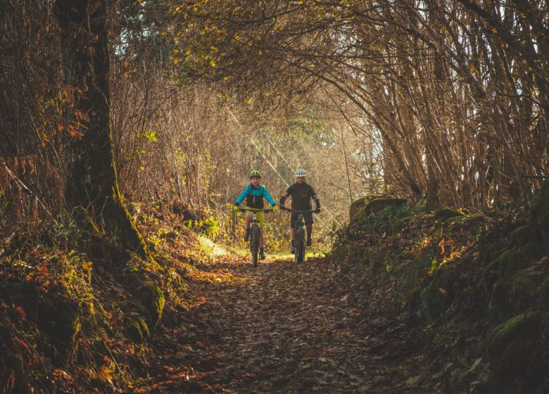 Mountain biking circuit La Saint Jean