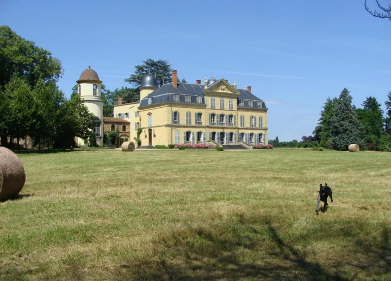 Salle de réception – Château d’Ailly