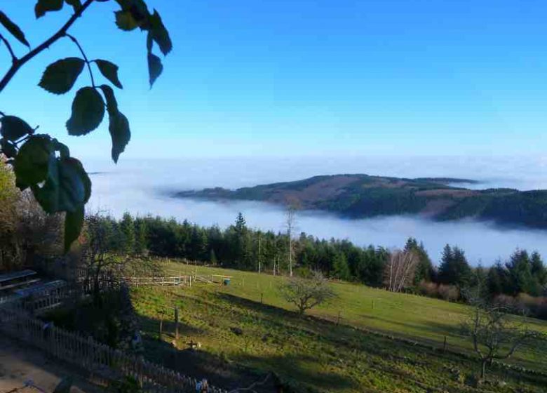 Gîtes de Bécajat