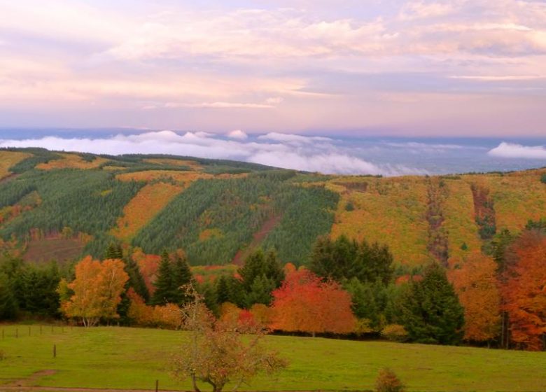 Gîtes de Bécajat