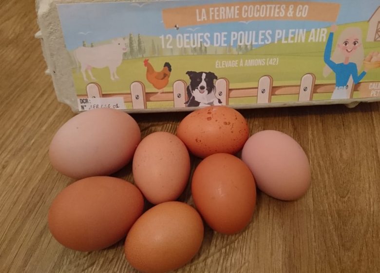 La Ferme Cocottes & Co