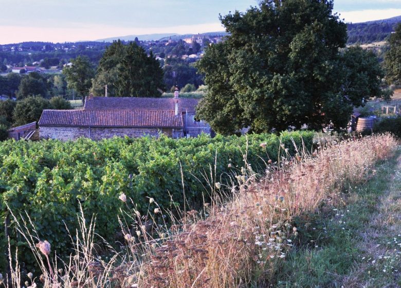 Landgoed en derde plaats van La Martinière – François Chabré