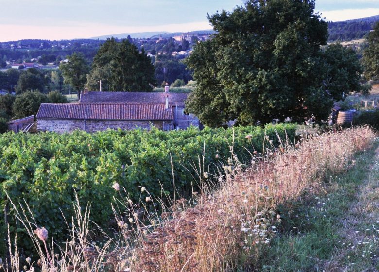 Nachlass und dritter Ort von La Martinière – François Chabré