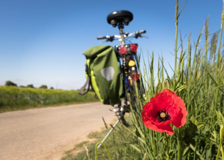Fahrradtourismus: 300 km Weltwandererzertifikat entlang der Kanäle