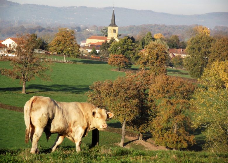 La Triplette Charoline