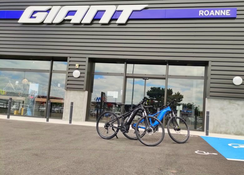 Giant Roanne – Mably