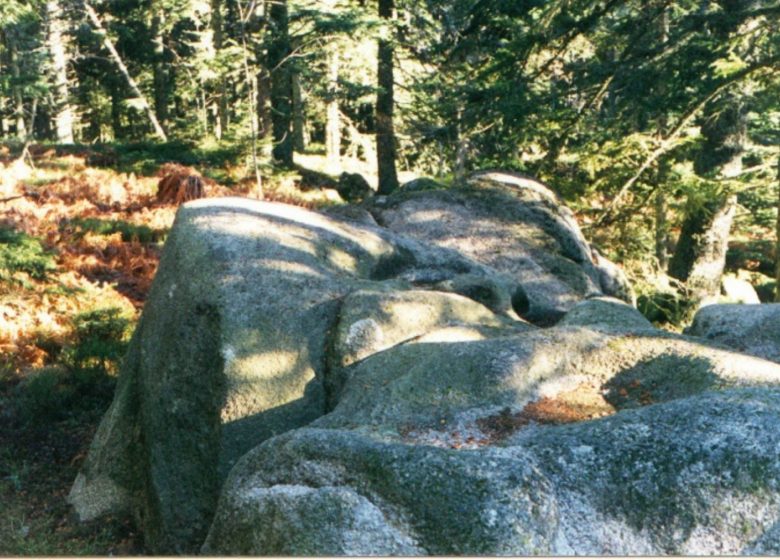 Cascade de Bout et pierre des fées