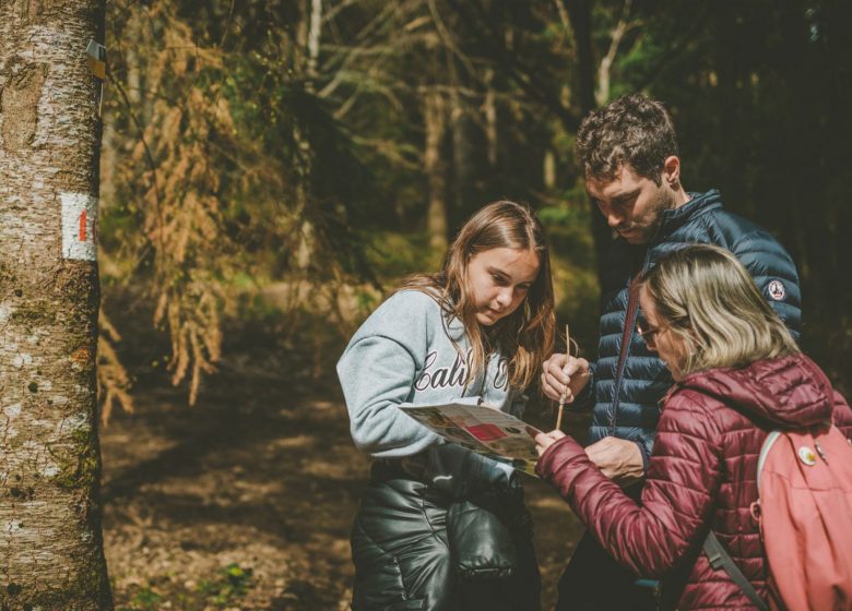 Orienteering sports area – Forest of the Grands Murcins