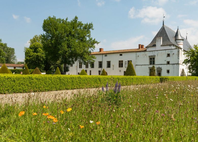 A la découverte de la Route des Vins Forez-Roannais en Loire Volcanique – En 3 ou 4 jours – De la gare de Roanne à la gare de Montbrison