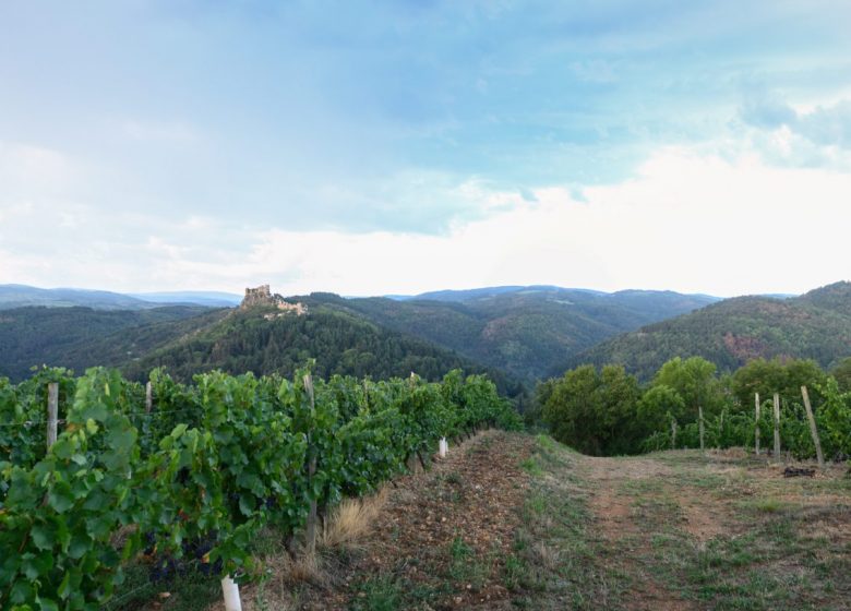 Route des Vins Forez-Roannais en Loire Volcanique